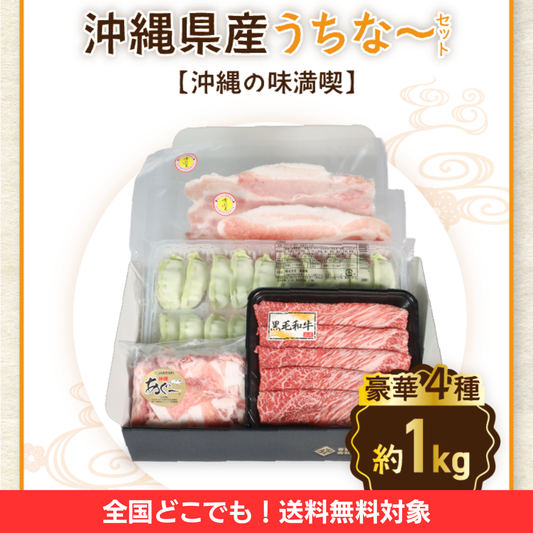 【定期便】沖縄県産うちな〜セット